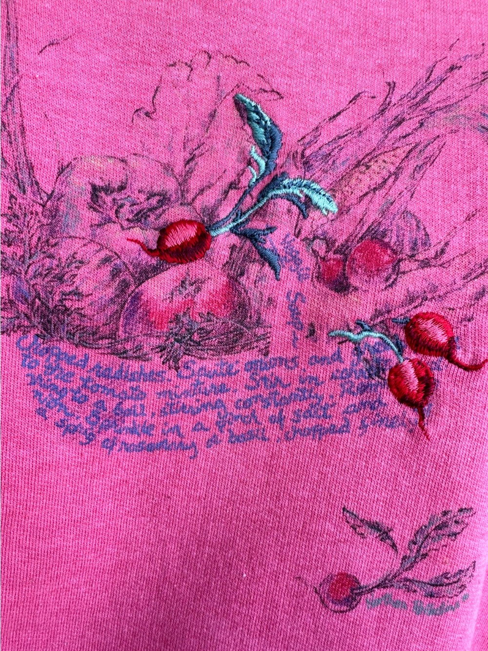 Vtg 90s Northern Reflections Veggie Soup Recipe Sweatshirt Embroidered Pink - Picture 7 of 12